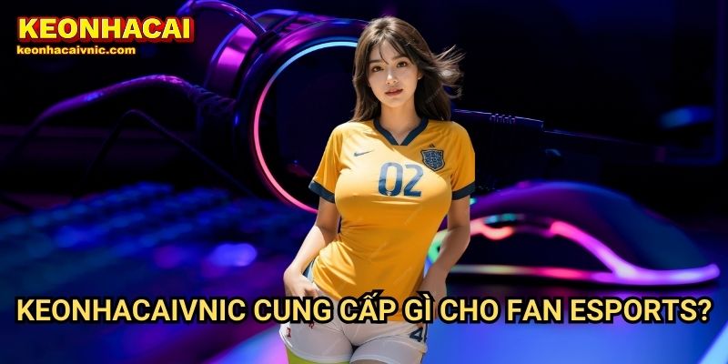 Esports Keonhacai vnic – Tin Tức Giải Đấu & Kèo Cược Game HOT Nhất 3 Keonhacaivnic Cung Cấp Gì Cho Fan Esports?